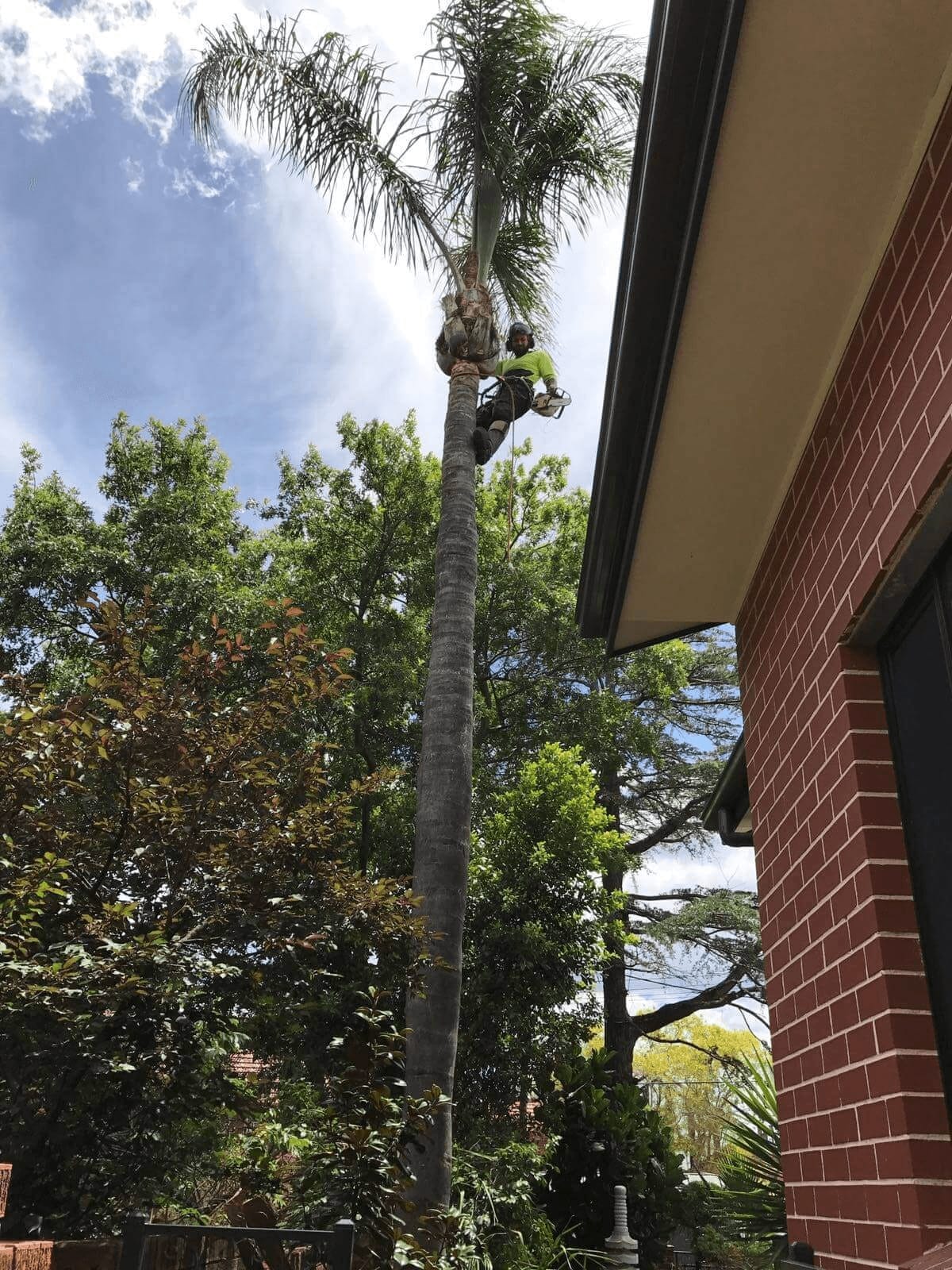 Stump grinding creating clean garden space in Sydney