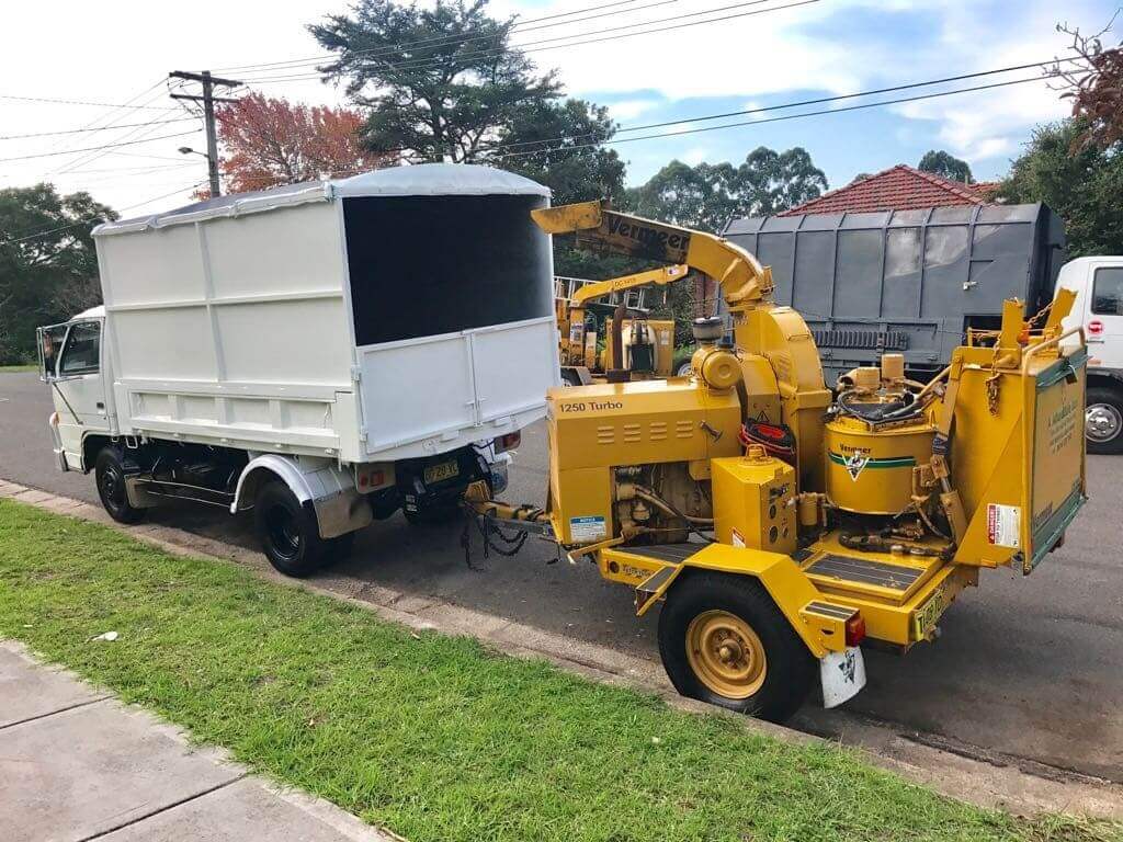 Tree lopping maintaining clearance from buildings in Sydney