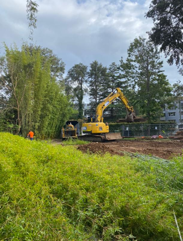 Stump grinding with complete root removal in Sydney