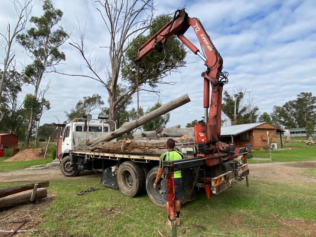 Professional tree care maintaining property values in Sydney