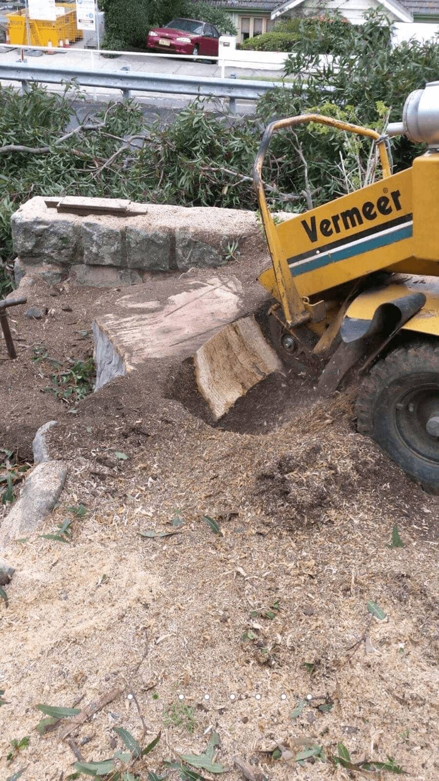 Vermeer stump grinder removing a large tree stump beside a roadway