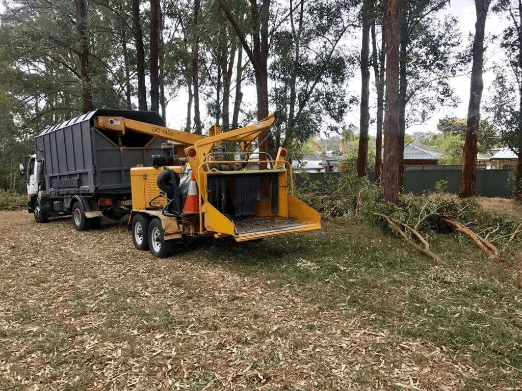 Vermeer wood chipper processing branches at a park tree lopping job