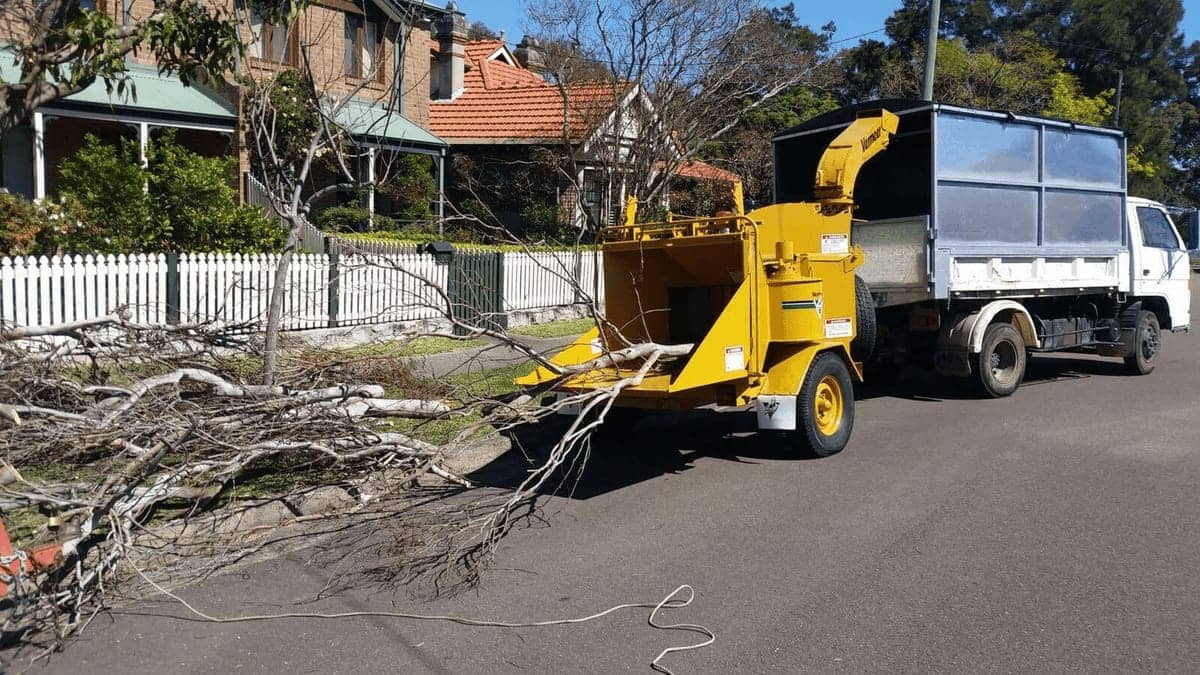 Wood chipper processing large branches on a residential street