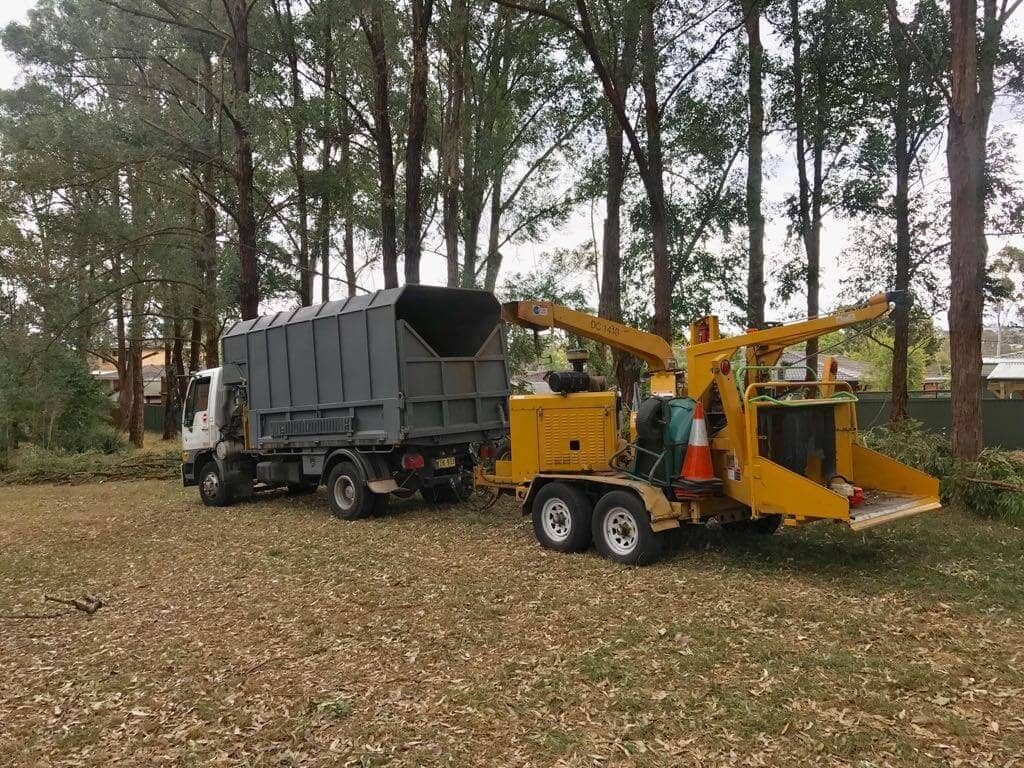 Wood chipper truck and Vermeer chipper set up in a park for tree lopping