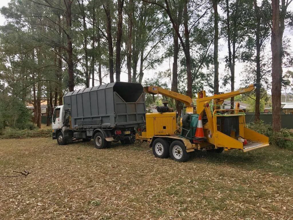 Wood chipper truck and Vermeer chipper set up in a park for tree lopping