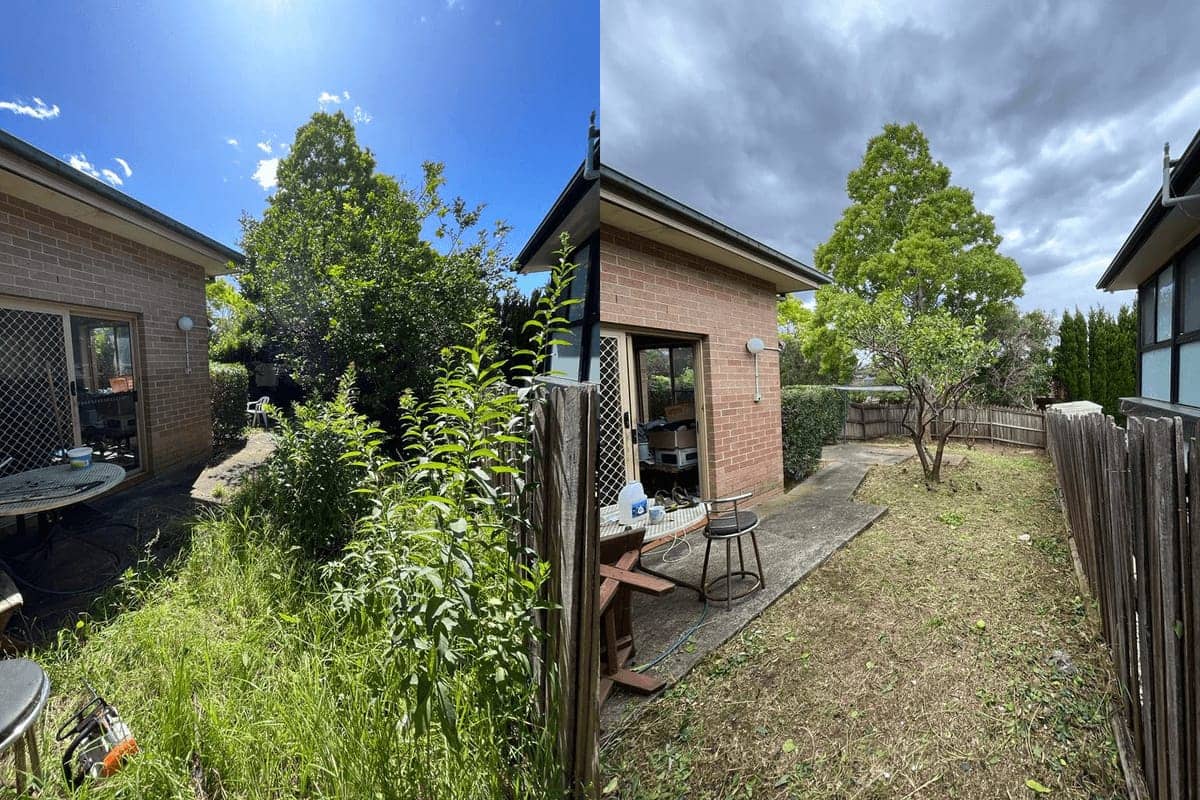 Before and after residential property cleanup with vegetation cleared