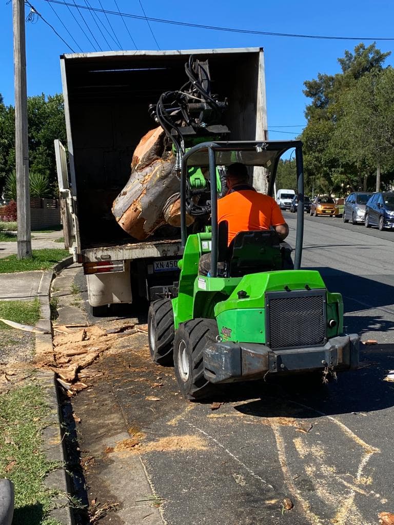 Compact loader loading a heavy log during professional tree services in Ryde