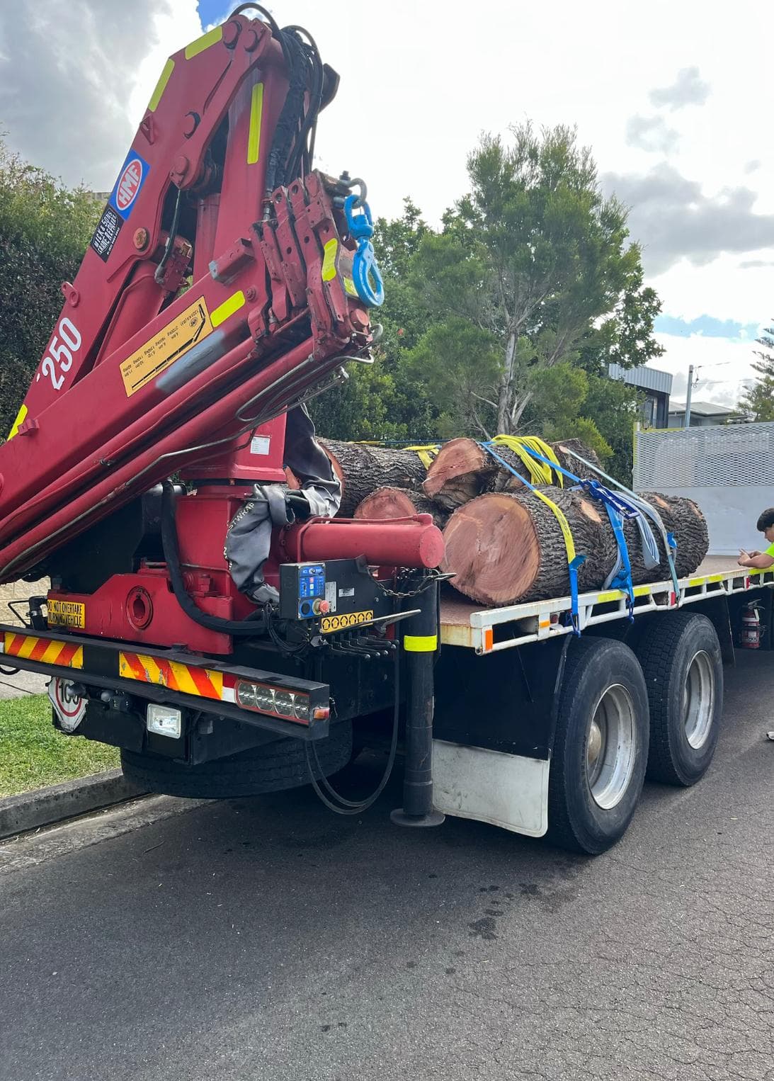Crane truck flatbed loaded with large-diameter eucalyptus log sections secured with ratchet straps