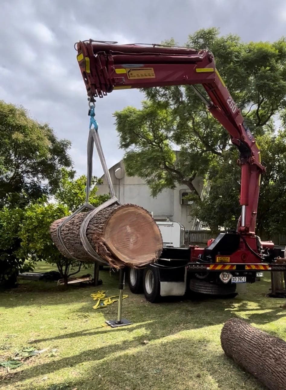Red Hiab crane lifting a large eucalyptus log section with slings over a residential backyard