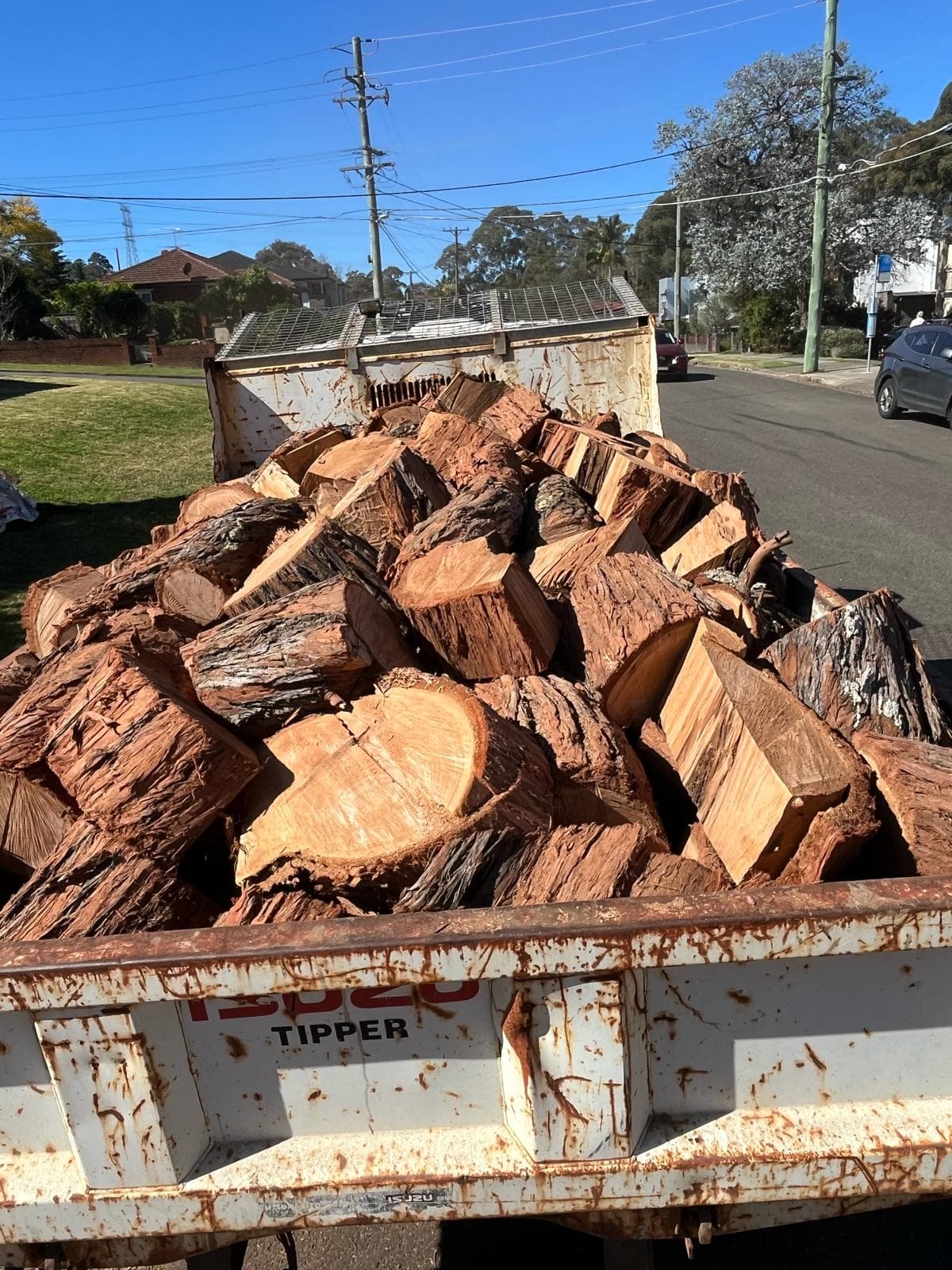 Tipper truck loaded with cut eucalyptus log rounds after a crane-assisted tree removal