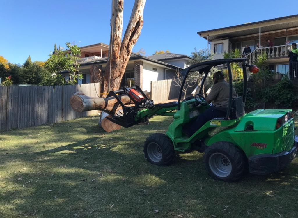 Avant compact loader lifting a cut eucalyptus log in a tight residential backyard