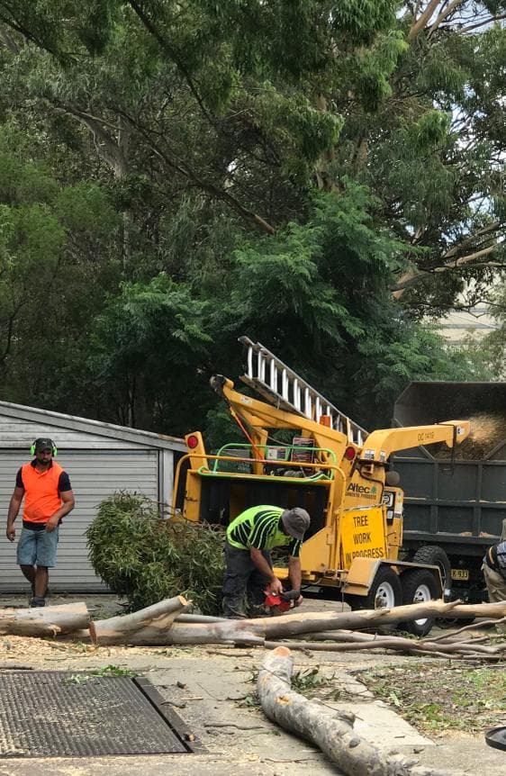 Altec wood chipper operating on-site during a backyard tree removal