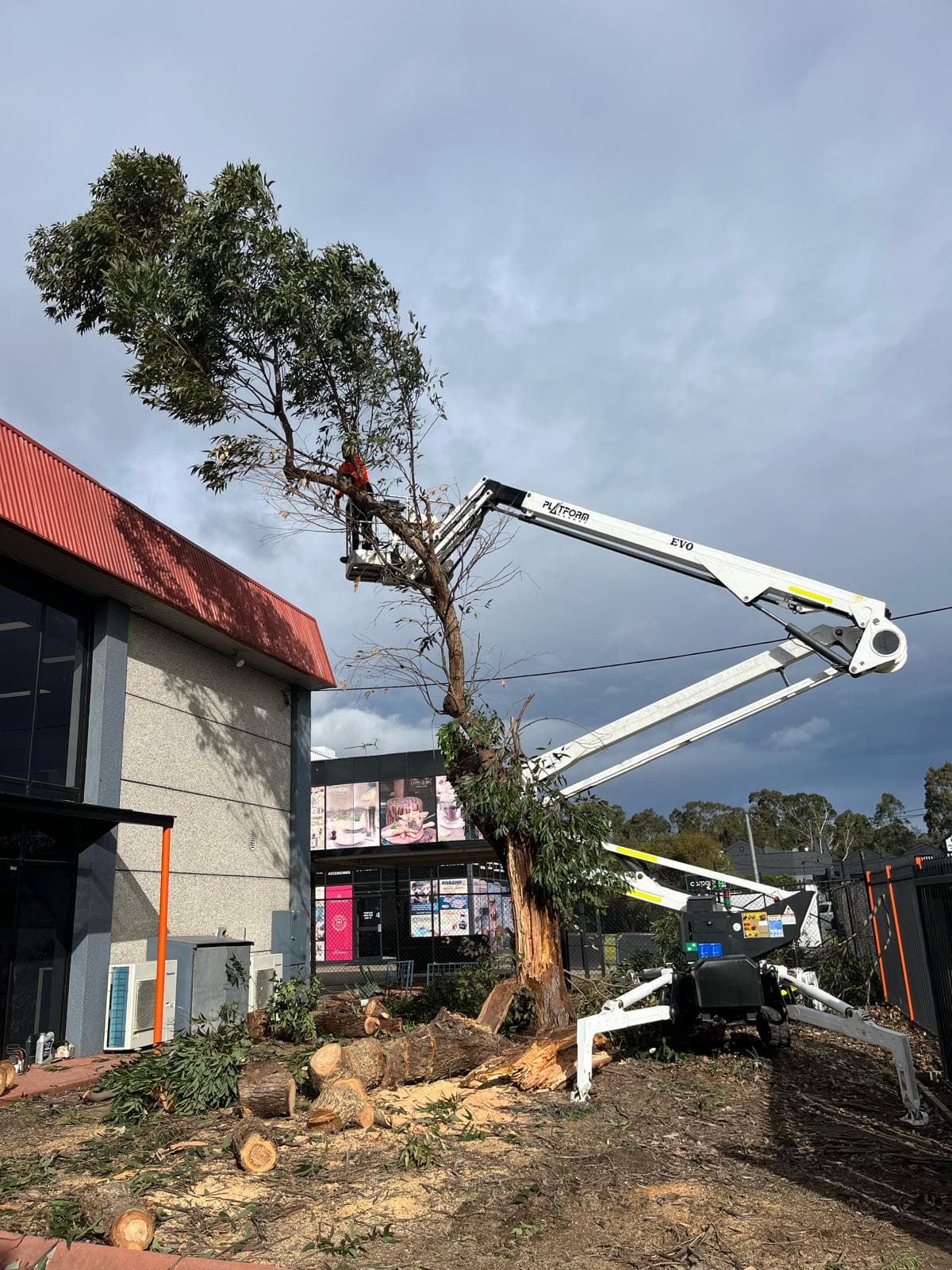 Platform Basket Evo spider lift positioned next to a tall eucalyptus at a commercial shopfront