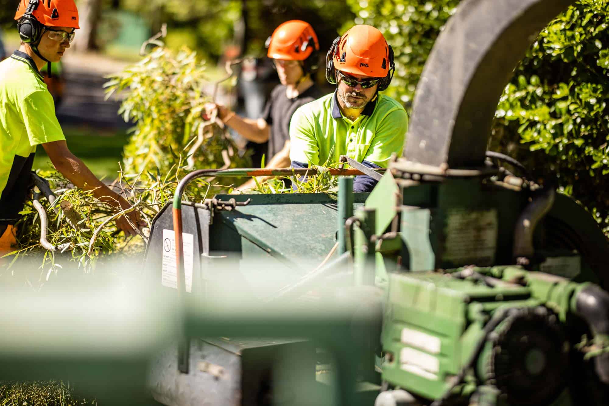 Affordable Dan’s clearing lopped branches with machinery on a residential site