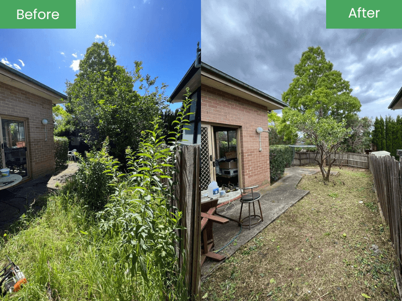 Tree Lopping In Sydney Before & After 2