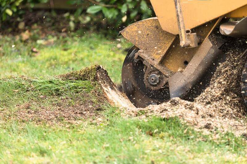 Best stump grinding equipment and service in Sydney