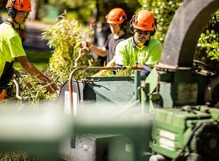 Reliable tree removal Sydney - Affordable Dan's Tree Services equipment