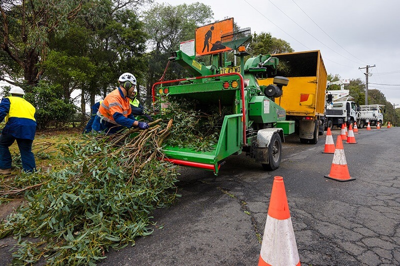 Affordable tree services in Glenfield
